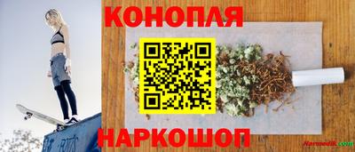 прущие грибы Кингисепп