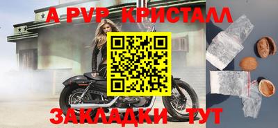 прущие грибы Кингисепп