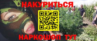 СК Кинель