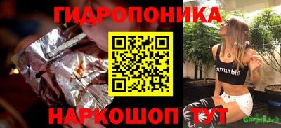 прущие грибы Кингисепп