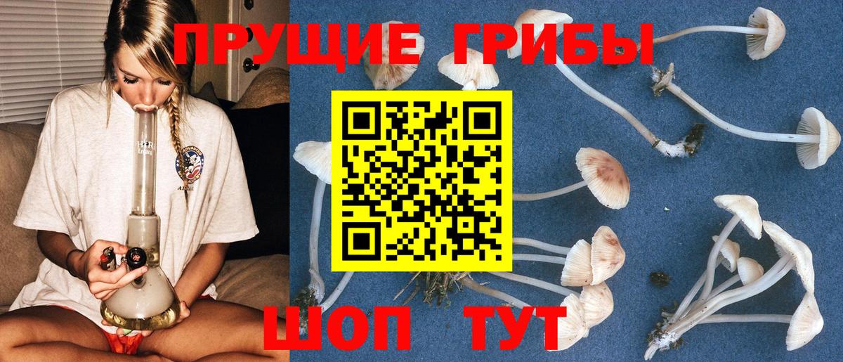 Псилоцибиновые грибы GOLDEN TEACHER Котлас