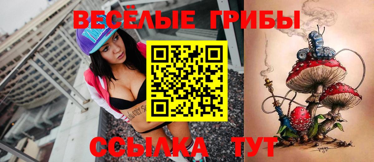 закладки  Псилоцибиновые грибы мухоморы  Котлас  Вход с VPN  Галлюциногенные грибы Psilocybine cubensis 